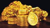 Gold Coins